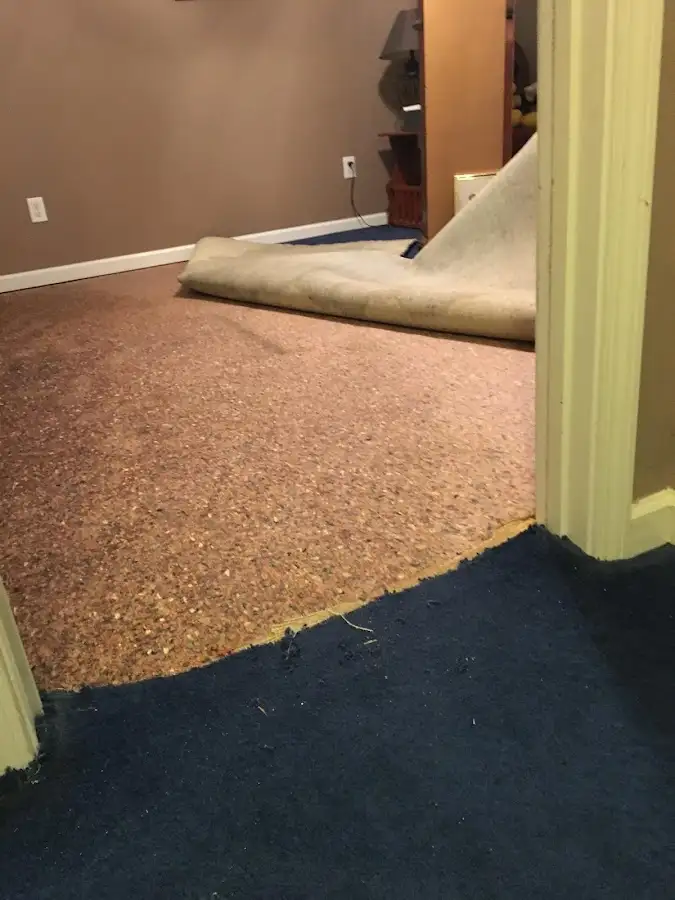 Carpet pad removal revealing water damage during Drying & Dehumidification in Dayton