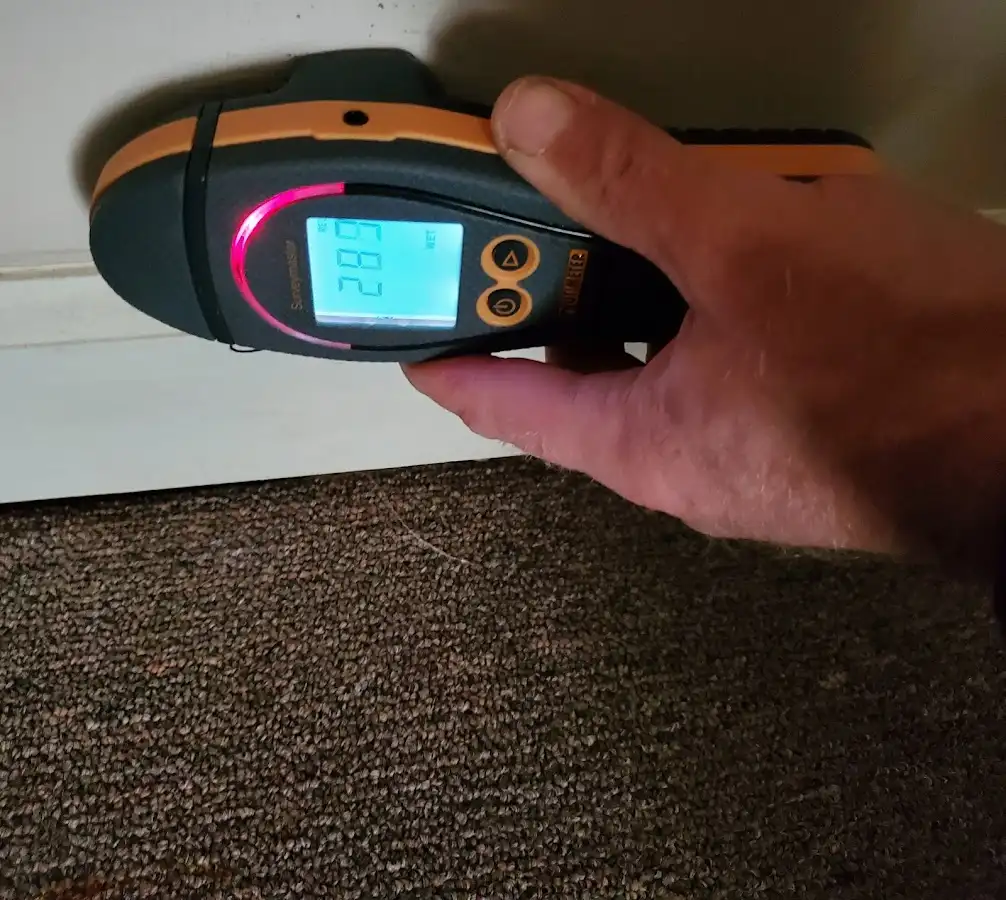 Moisture detection at baseboard during Sewage Cleanup & Sanitation in Dayton